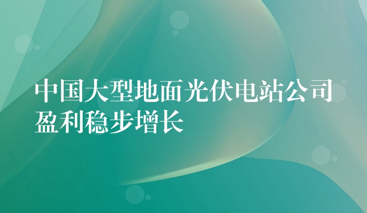 中国大型地面光伏电站公司盈利稳步增长