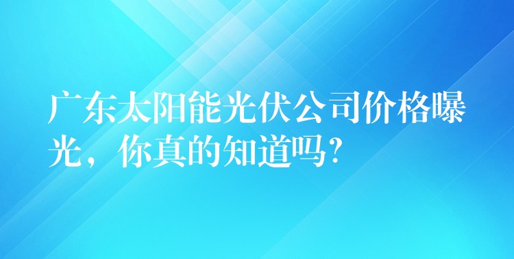 广东太阳能光伏公司价格曝光，你真的知道吗？