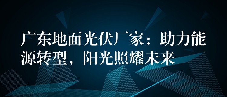 广东地面光伏厂家：助力能源转型，阳光照耀未来